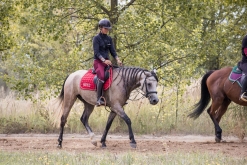 Almiran s majitelkou. Září 2022