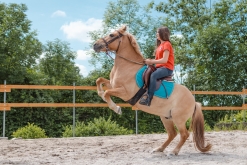 Verča Ctiborová s Oldou při vzpínání