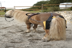 hnůj bag v mini velikosti