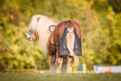 minibag