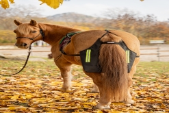 celouzavřený hnůjbag - vhodný pro návštěvy budov pro asistenční koně - nepropustí ani řídký bobek